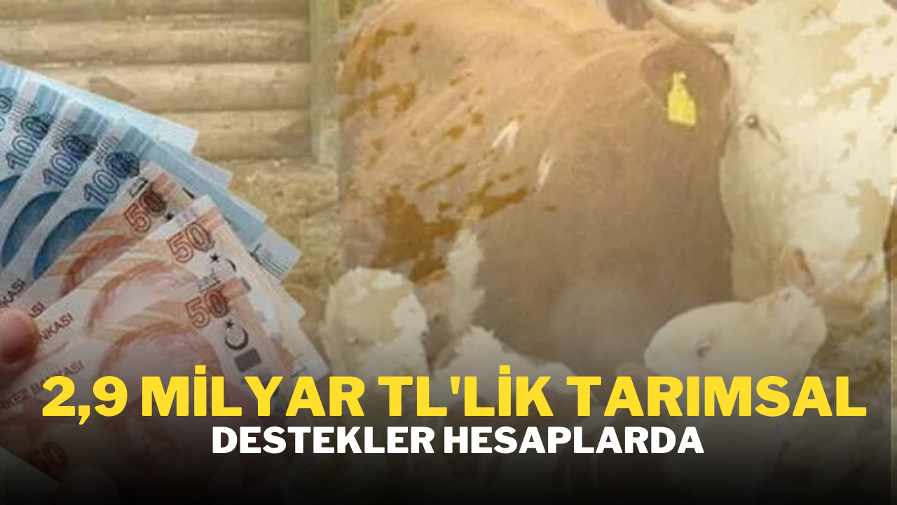 2,9 milyar TL’lik tarımsal destekler hesaplarda