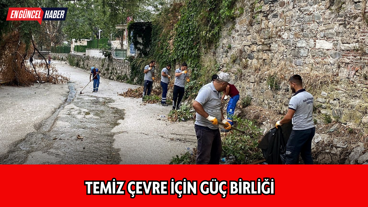 Çevre için güç birliği