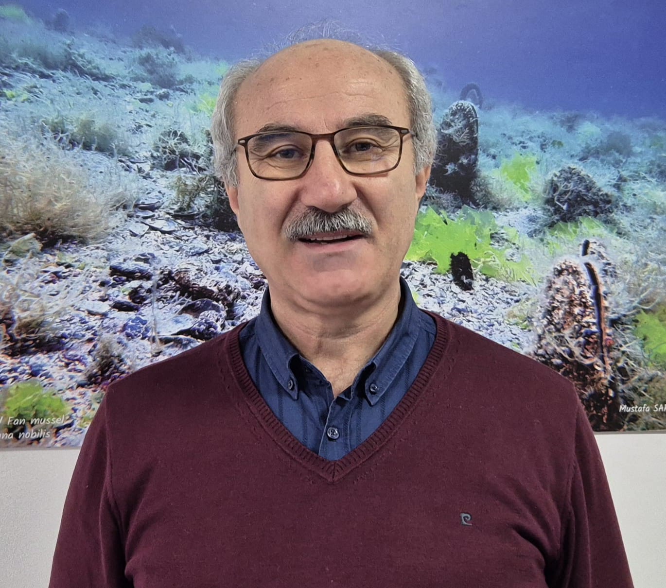 Prof. Dr.Mustafa Sarı Müsilaj Deniz Çayırı ve Pinaları Etkiliyor