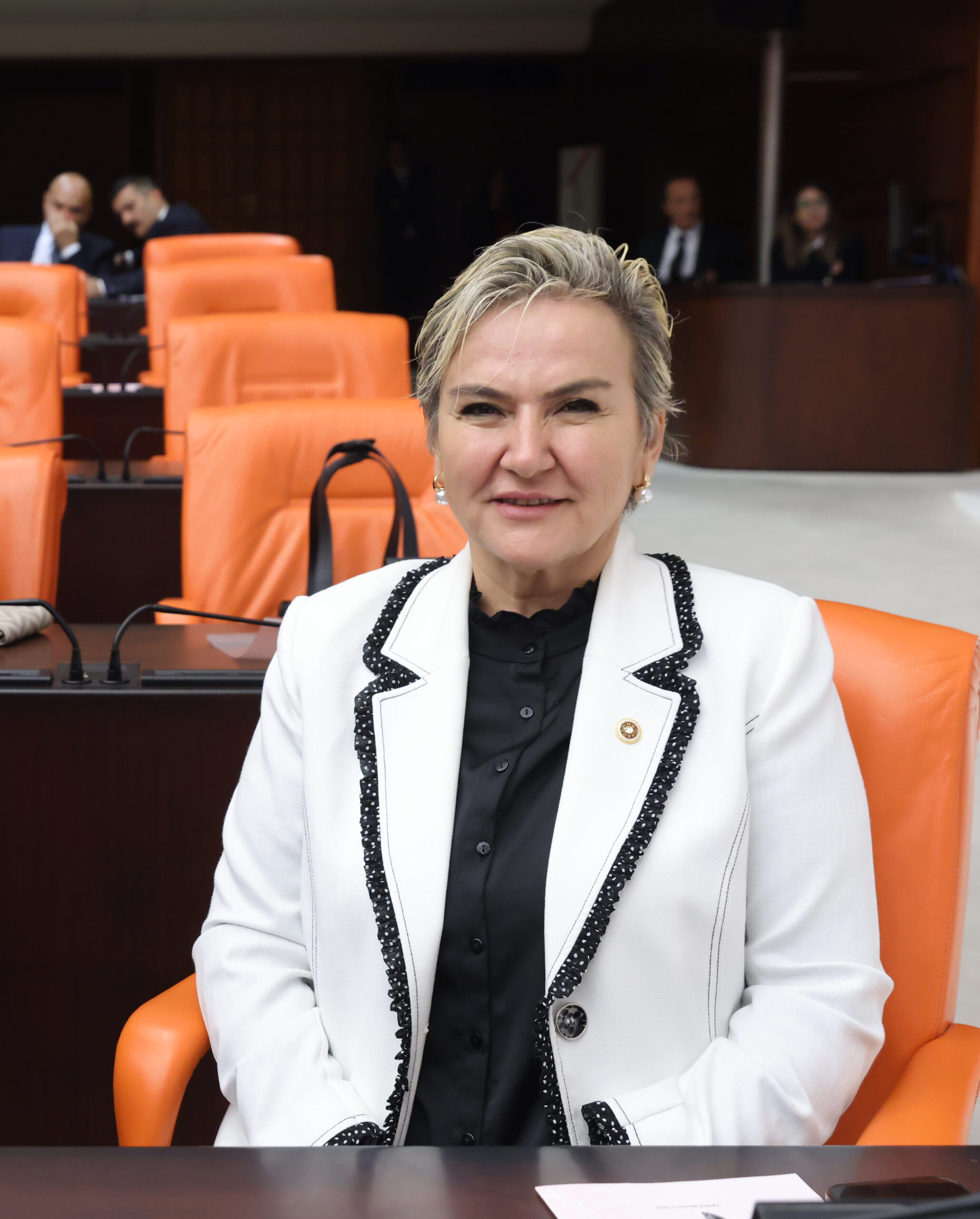 CHP İstanbul Milletvekili Nimet Özdemir’den İçişleri Bakanı’na Soru Önergesi: Sultanbeyli’de Uyuşturucu ile Mücadele