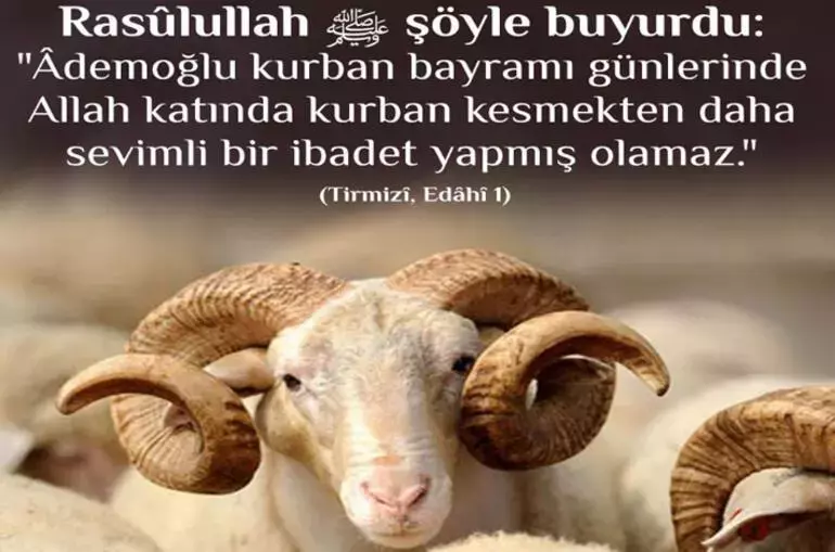 Kurban Bayramı Mesajları 2025 – En Güzel, Anlamlı ve Kısa Bayram Tebrikleri