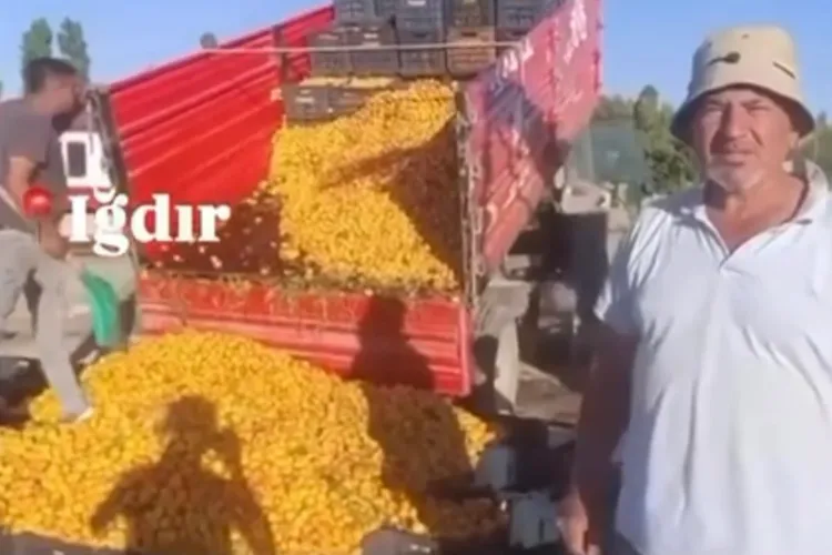 1 TL’lik kayısı paylaşımı 1,4 milyon TL cezaya patladı! Yanıltıcı paylaşıma milyon liralık ceza!