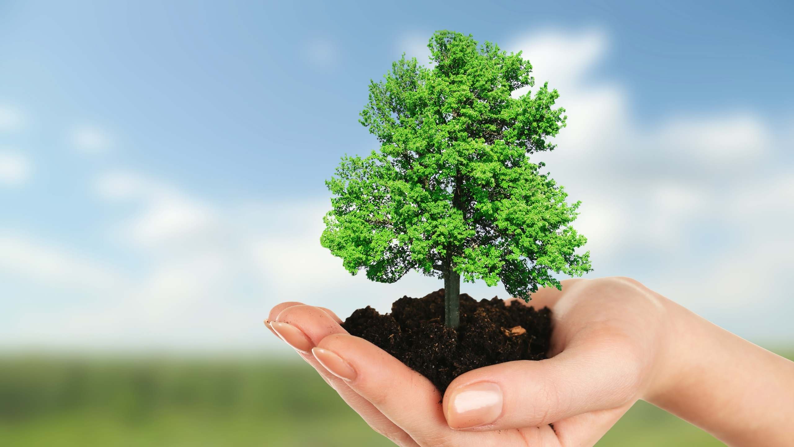 “Fidan Dik, Geleceğe Nefes Ol”