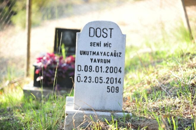 “Bu ülkenin sokakları masumların mezarlığı olmayacak!”