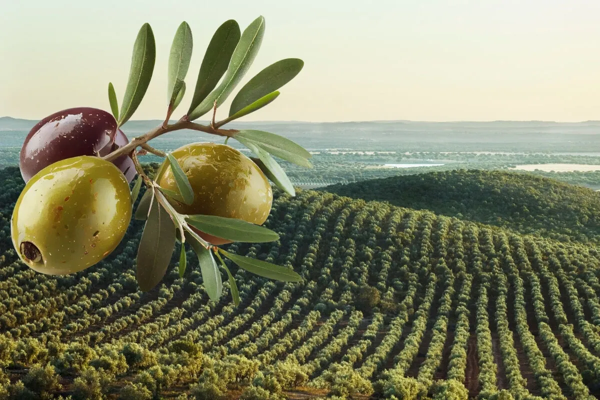 Bir Yaşamın ve Geleceğin Teminatı