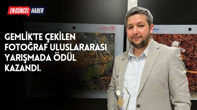 Gemlik’te çekilen fotoğraf uluslararası yarışmada ödül kazandı.