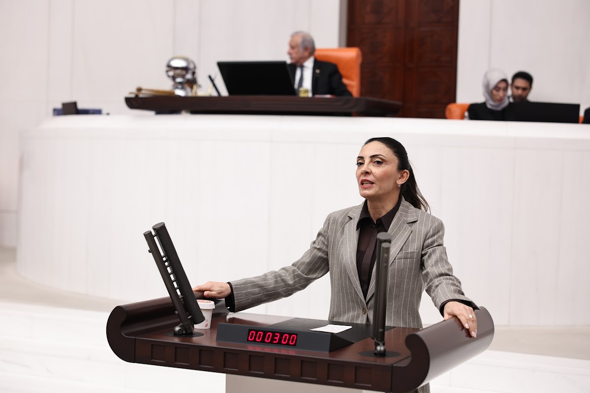 “CHP’li Kayışoğlu: Sanat Özgür Olmadan Demokrasi Olmaz”