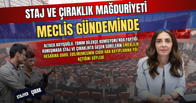 Staj ve Çıraklık Mağduriyeti Meclis Gündeminde