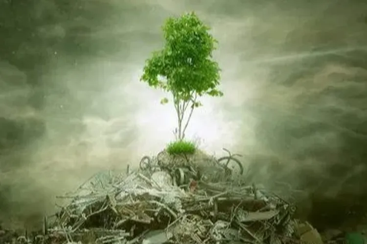 ÇED ‘gerekli değil’ kararı kaldırıldı! Yönetmelikle süreçler değişti