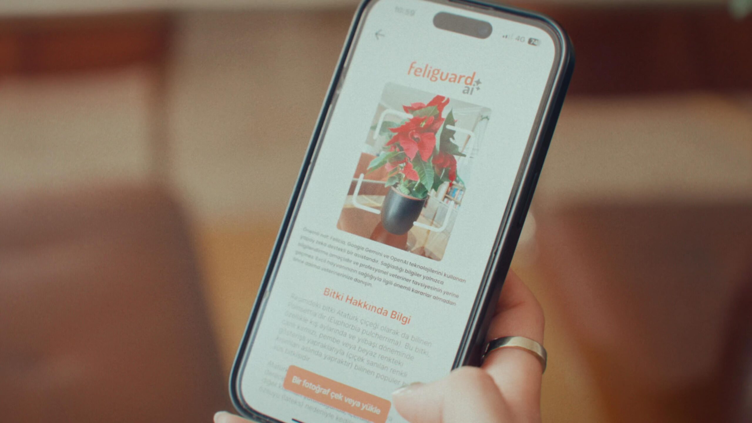 Yapay Zeka ile 50 Bin Evcil Hayvanın Hayatı Koruma Altında