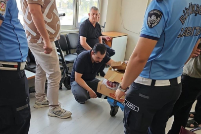 Zabıtadan sağlıksız et operasyonu