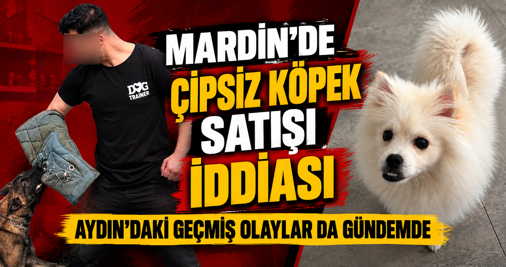 MARDİN’DE ÇİPSİZ KÖPEK SATIŞI İDDİASI: AYDIN’DAKİ GEÇMİŞ OLAYLAR DA GÜNDEMDE!