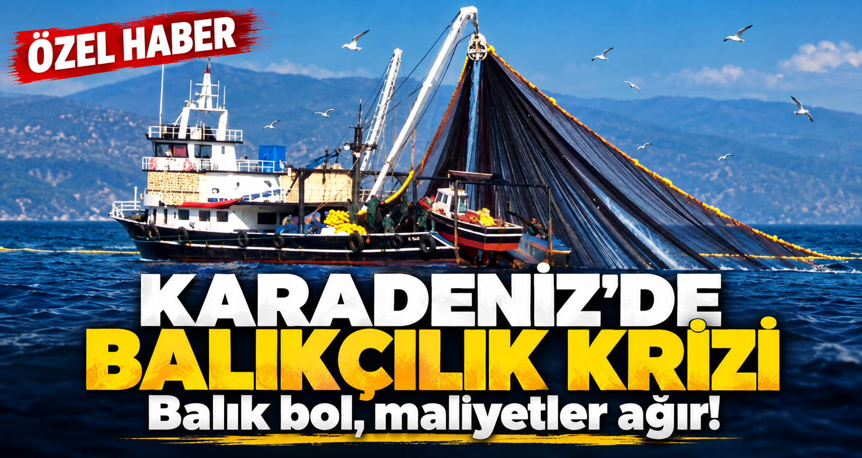 Karadeniz’de balıkçıların zorlu mesaisi: Balık bol, maliyet yüksek!